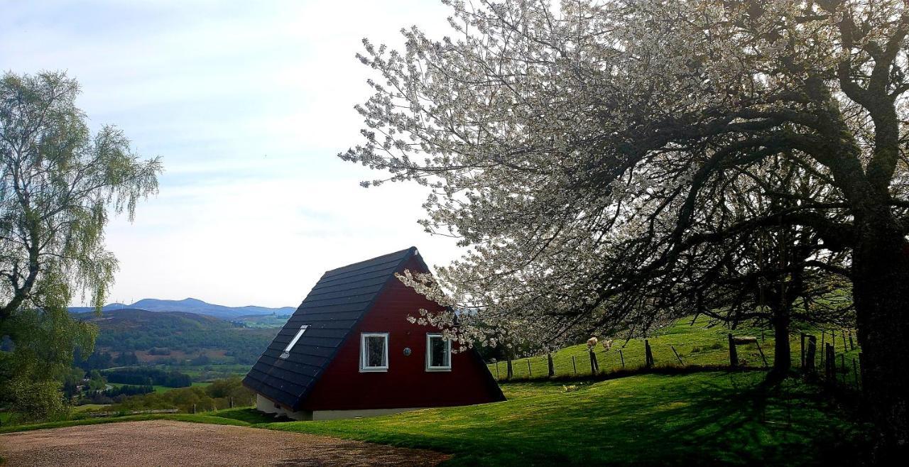 Highland Glen Lodges Rogart Zewnętrze zdjęcie