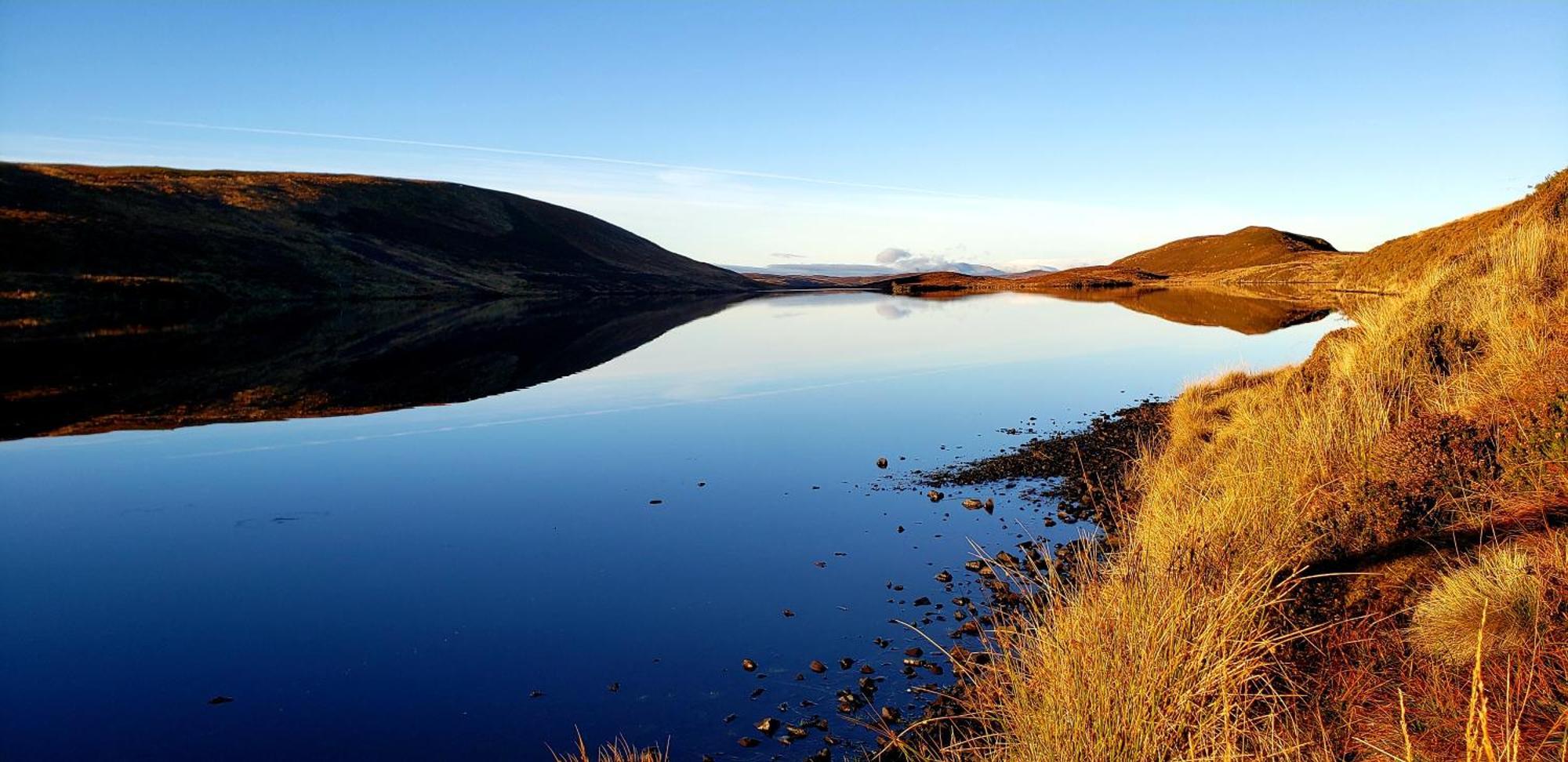 Highland Glen Lodges Rogart Zewnętrze zdjęcie