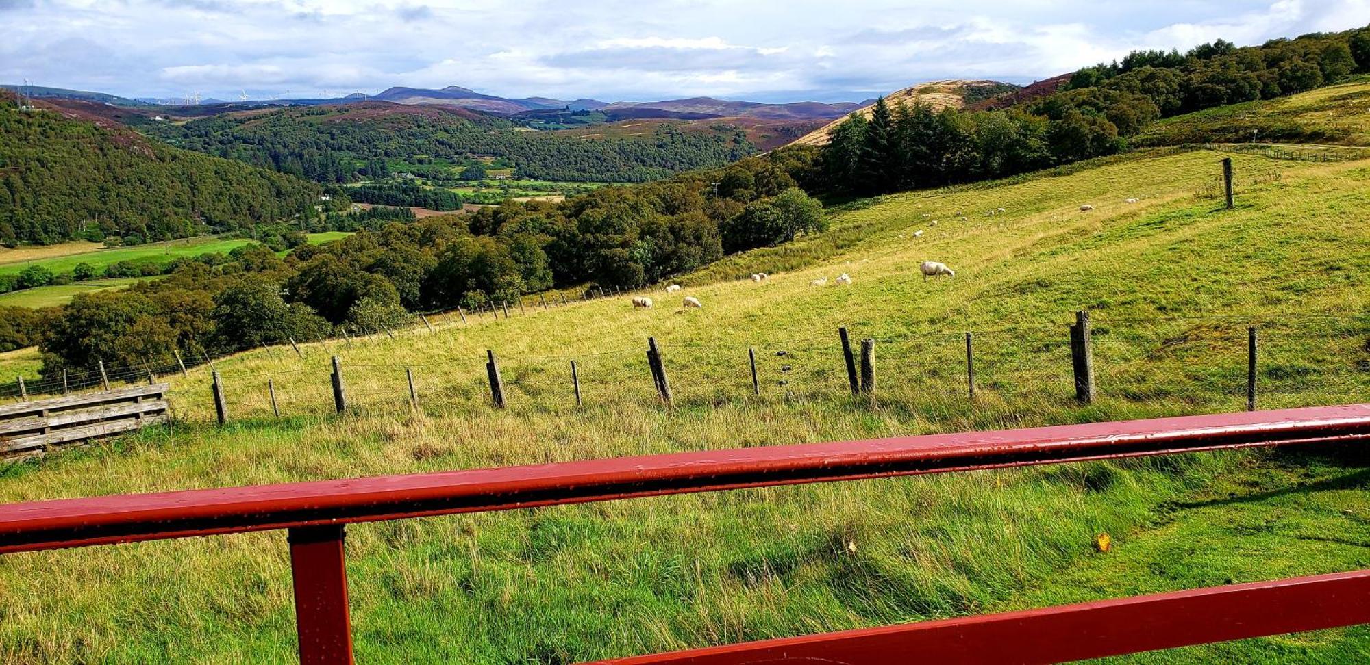 Highland Glen Lodges Rogart Zewnętrze zdjęcie